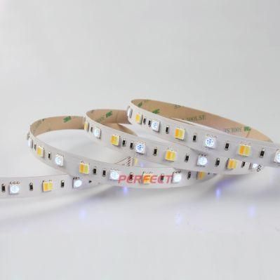 SMD5050 RGB+CCT 60LEDs/M Hot Sell 5color LED Strip