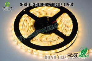 5m/Roll 300 LED Lighting RGBW/RGB SMD 5050 Flexible Waterproof IP65 IP67 or IP20 LED Strip with Controller