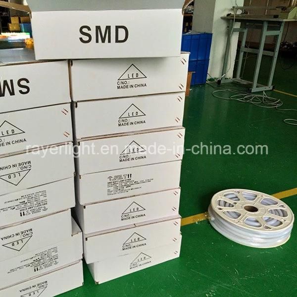 13mm LED Flexible LED Neon Strip Lights of Christmas Lights