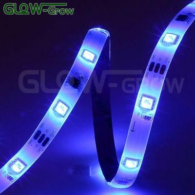 UL Listed Music Sync Color Changing 5050 LED Tape Light 16 Million Colors LED Strip Light for Room Decor