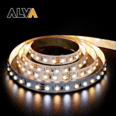 120PCS/M CCT Dim to Warm SMD3528 Flexible Rope Light 12V 24V LED Strip with TUV CE, IEC