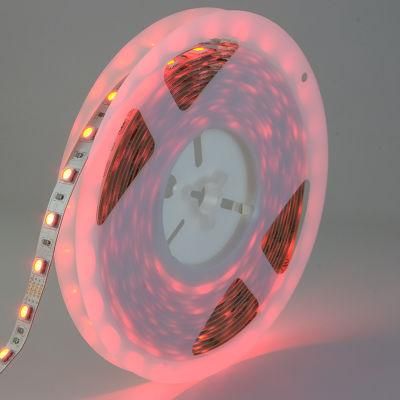 Top5 LED strip manufacture Triangle SMD5050 RGB LED Strip Light For Christmas Tree 60LED, 60LEDs/m