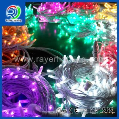 IP65 European Market Popular Lights Outdoor Garden Hall Home Decoration Rubber Wire LED String Light