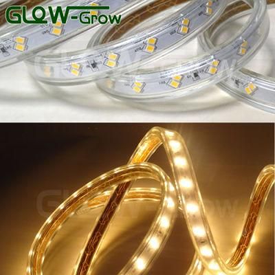Outdoor Use IP65 60*2LEDs/M 2835 LED Strip Light with DC Converter
