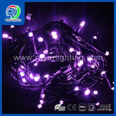 LED Outdoor Christmas 30m Connectable 24V LED IP68 Rubber String