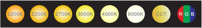 Ap40r High Light Transmittance Food-Grade Environmental Silicon Material IP67 Dots-Free & Uniform Light Neon Flex