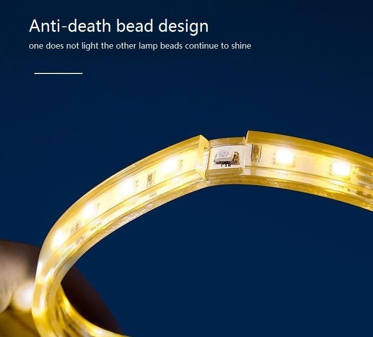 Factory Direct High Quality LED Strip Lights RGB Strip Light Kit Waterproof 5050 LED Holiday Light