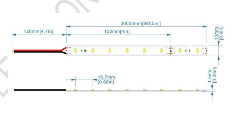 Super Long 30m Cascading DC24V LED Light Strip