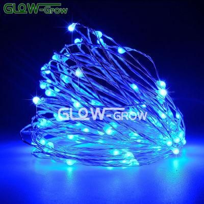 3V-24V Copper Wire Blue LED Fairy String Light Christmas Decoration with GS Adapter