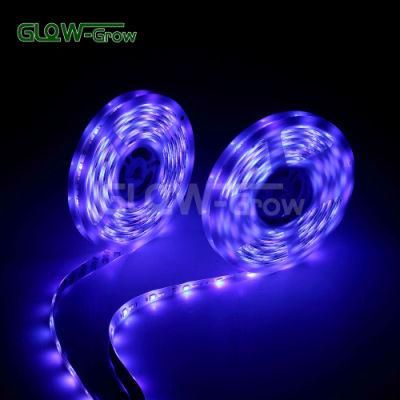 Tunable 10m RGB CCT Strip Light with Color Changing (3000K-6500K)