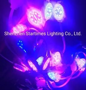 5 Years Warranty DMX Spi RGB Pixel Addressable LED Module Christmas Decoration Wedding Decoration LED Lighting LED Lights