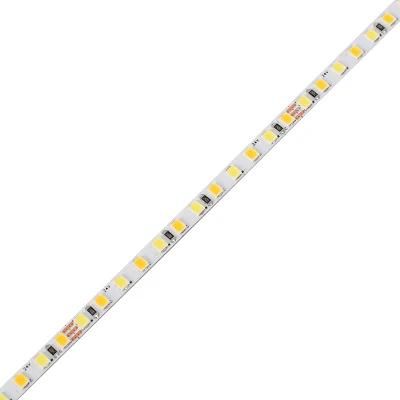 Cct 2835 Led Strip 144Leds/M 24V 5Mm] Color Changing Led Light