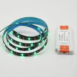 Lighting 12V 24V LED Strip with Ultra-Thin Driver Adapter