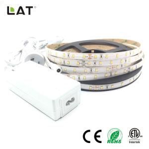 High Brightness DC12V DC24V IP65 SMD2835 Cw Ww 10m 60LEDs Flexible LED Strip Tape Ce ETL UL