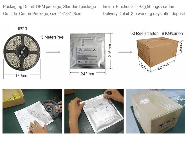 50*23 mm Cuttable LED Strip Sheet