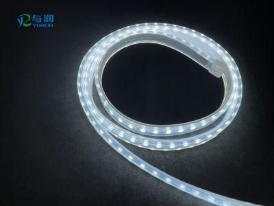 10mm 60LEDs Flexible LED Strip IP65 Waterproof LED Strip Lights