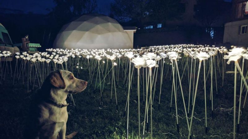 Outdoor Ball Flower Decoration Lights for Garden Decoration Light LED Ball Light