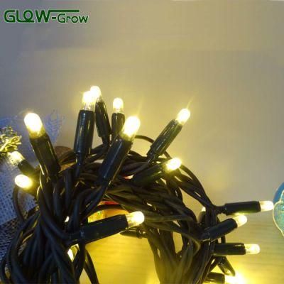 Low Voltage 24V Rubber Wire LED String Light for Party Decoration