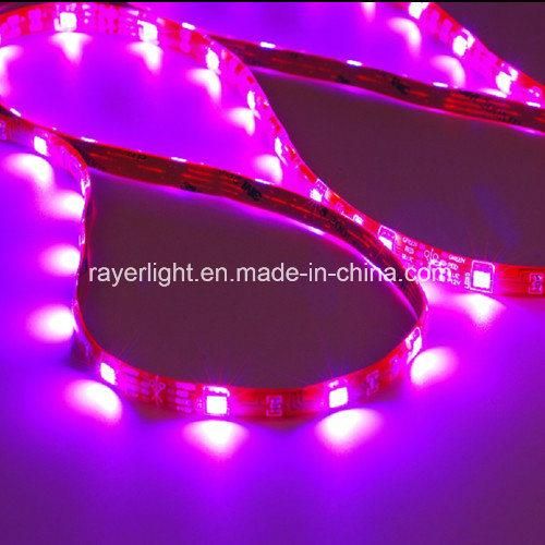 LED Strip Light LED Landscape Lighting Decoration LED Rope Decorative Lights