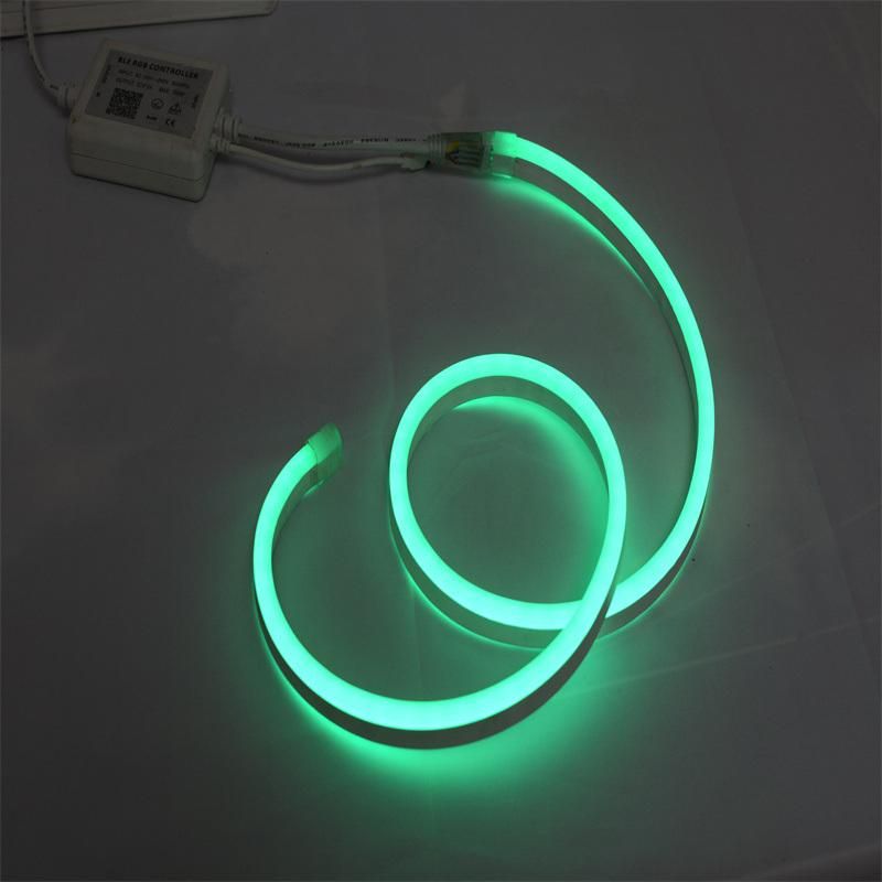 Hot Sale AC 220V SMD Flexible Neon Strip for Christmas Decorations