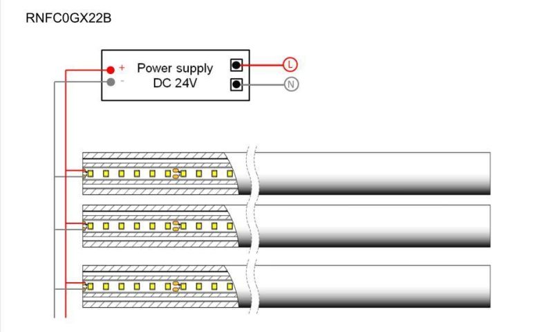 Beam Angle 360 Degrees DC12V/DC24V 2835 Flex Neon LED Strip