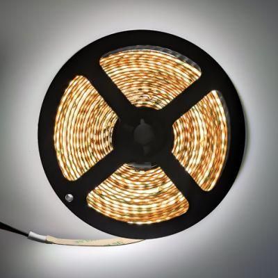 Factory High Quality 3000K 4000K 5000K 6000K Flexible LED Strip Light for Indoor or Outdoor Using