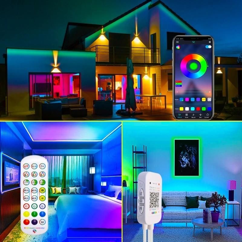 2021 Factory Rgbic LED Strip Lights RGB LED Light Strip Color Changing Wirelss Remote Controller Flexible Ribbon Light for Dancing Wedding Christmas Decoration