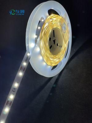 10mm 2835SMD 60LEDs Flexible LED Strip with 3 Years Warranty