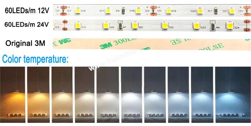 12V LED Strip Lights Waterproof SMD 2835 60LEDs/M LED Neon Flex Strip Tape Ribbon