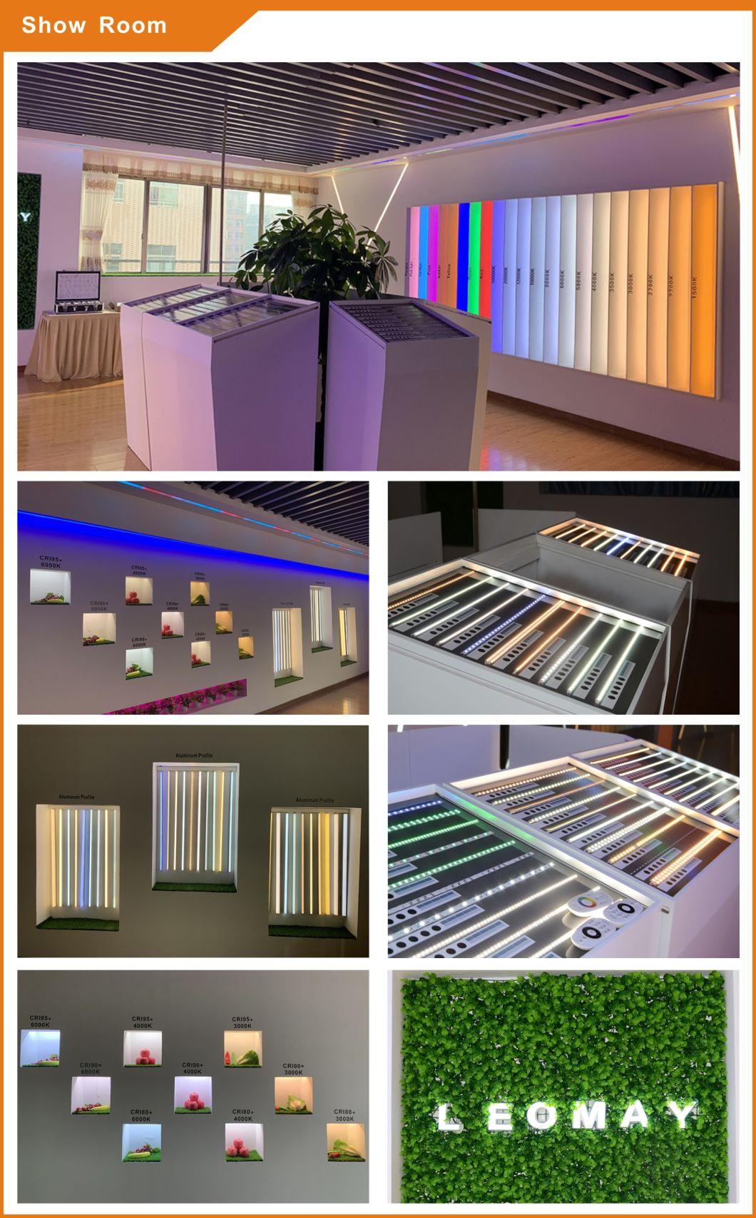 60LEDs/m 3528 Indoor LED decorative light/ cabinet light/ flexible LED strip
