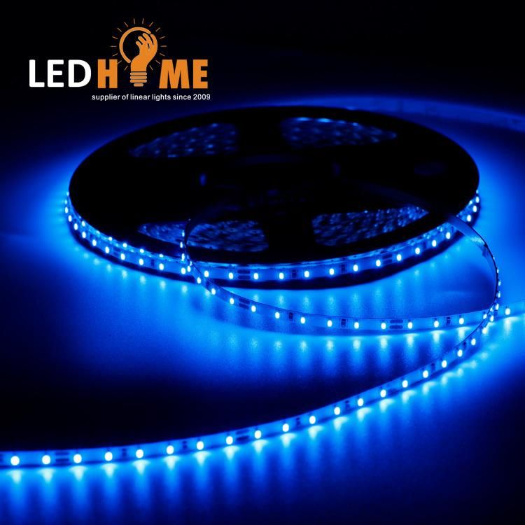 Strip Light with 120 LEDs 24V Color Blue