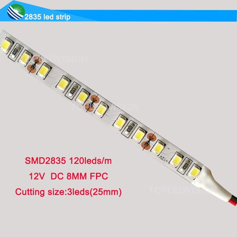 LED Lighting Decoration SMD2835 Flexible LED Light Strip 12V 24V DC for Indoor/Outdoor Environment