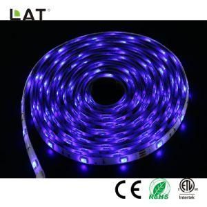 High Brightness DC12/24V 5m SMD5050 RGB 30/60/120LEDs Ce ETL UL Flexible LED Strip/Tape