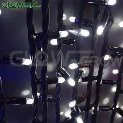 Home Use Hanging Fairy LED Curtain Light for Bedroom Decoration