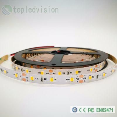 High Bright 2835 LED Strip 60LEDs 12W/M for Lighting Decoration