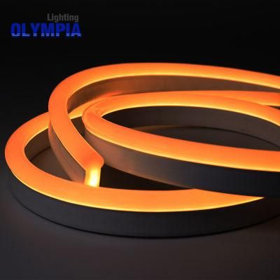 SMD5050 IP68 Flexible LED Neon Strip