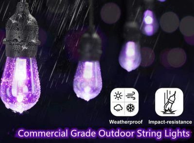 Highly Illuminated Smart LED Decoration Light for Home Use