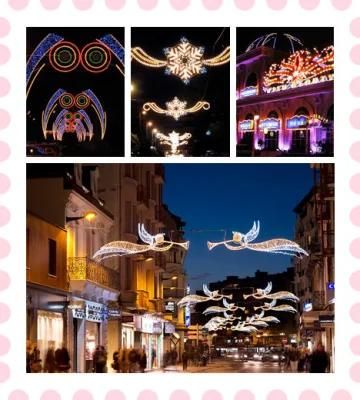 Waterproof LED Street Outdoor Decoration Motif Light