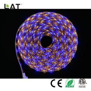 DC24V 1m IP20 High Brightness SMD5050 Rgbww 30/60/120LEDs Flexible LED Strip Light