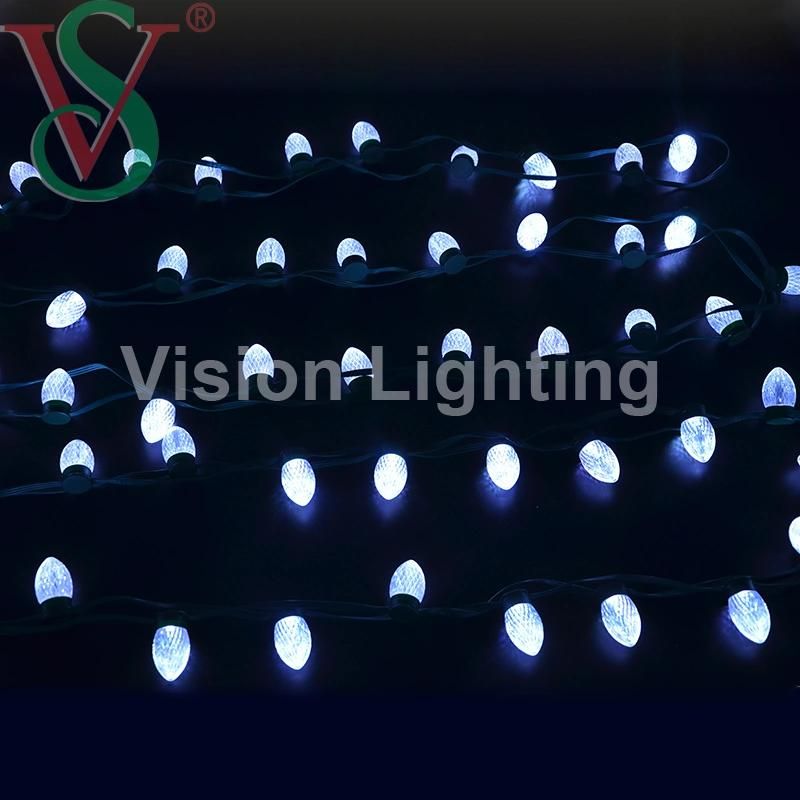 Christmas Decoration IP65 High Quality LED DMX/Ttl Strawberry String Light