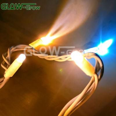 IP65 Waterproof EU Rubber Cable Warm White Twinkling Christmas LED String Light for Xmas Decorative Outdoor Lights with Blue Flash Bulb