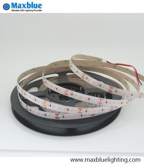 SMD 2835 120LEDs/M Superbright Ra80/90 LED Strip Lighting