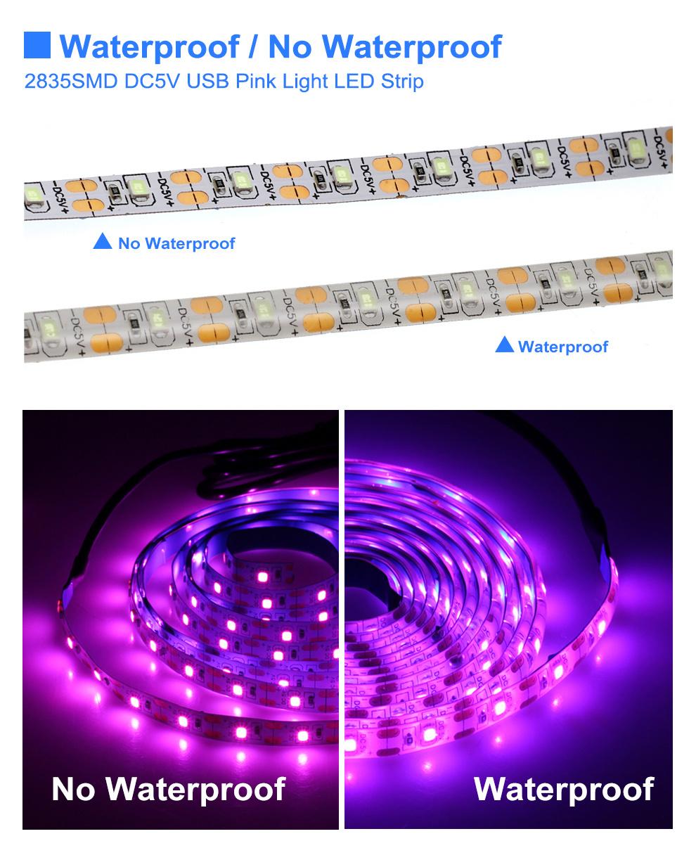 5V LED Strip Light USB 2835SMD RGB Diode Tape 0.5m 1m 2m 3m Flexible Neon Ribbon for TV Backlight PC Screen Background Lighting