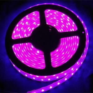 3528 120LED/M 9.6W Waterproof RGB Outdoor LED Flexible Strip Light