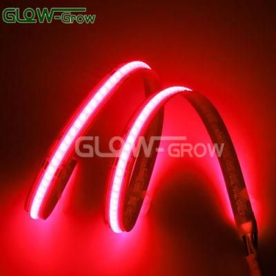 Red Glow Bendable Tape Light Fcob LED Strip Light DC Plug 480LEDs/M 12V for Bedroom Cabinet Bookcase Decoration