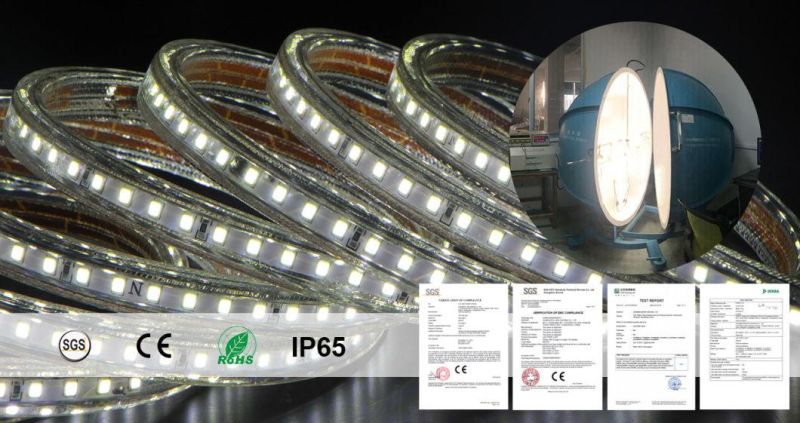 Flexible LED Strip Light LED Rope Light 50 Meters Roll with Ce RoHS Certified Waterproof IP65