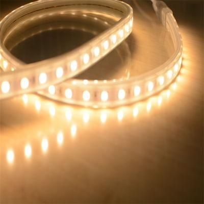 High Voltage 100m Roll 8mm 10mm 5050 LED LED Strip 220V