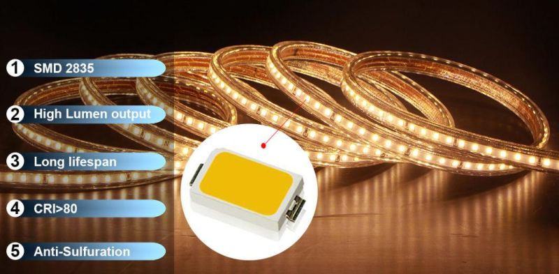Flexible AC230V LED Rope Light Outdoor Using Ce RoHS Certificate SMD 2835