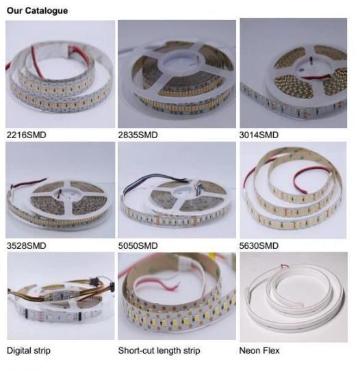 DC24V 3030 LED Strip 60 LEDs Per Meter Single Row 2000lumen Per Meter Flexible LED Strip Light