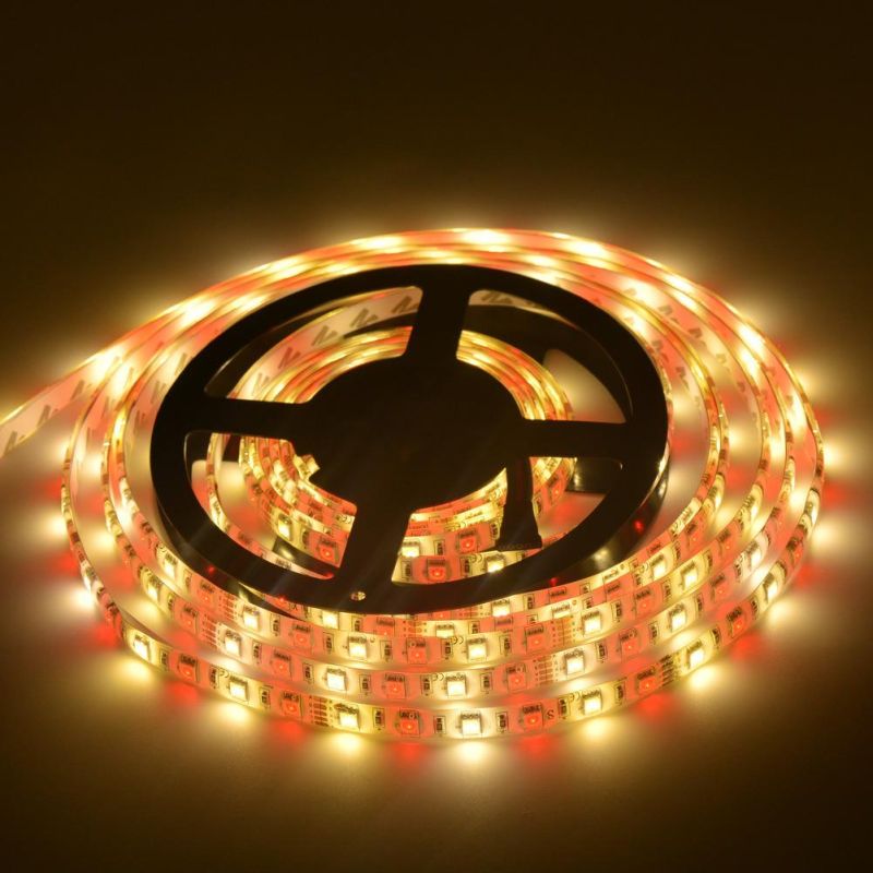 12V 60LED 5050RGBW Strip RGB+Warm White LED Strip